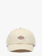 whitecap gray