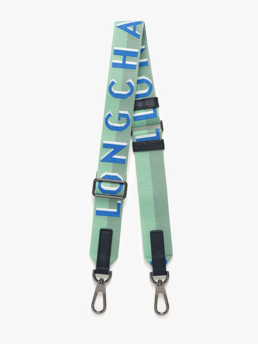 Longchamp Bandoulière ombrée Jewelry Green