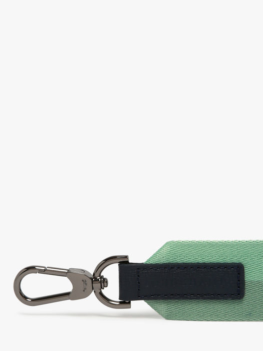 Longchamp Bandoulière ombrée Jewelry Green